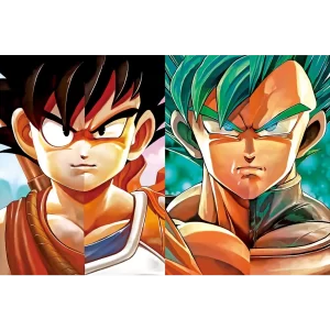 Poster réticulaire 3D DBZ - Goku & Vegeta
